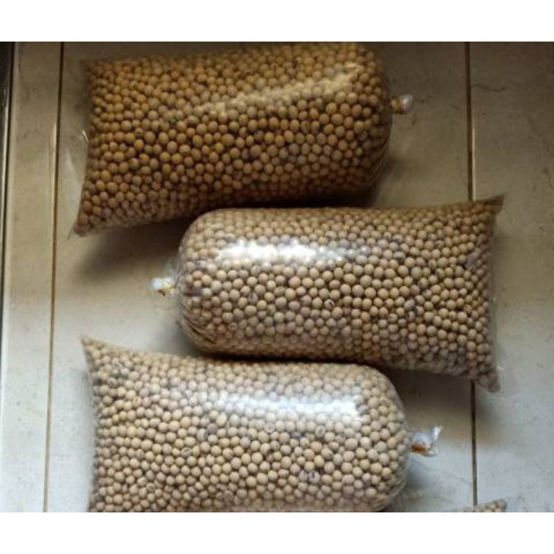 

Kedelai Bahan Tempe Pilihan