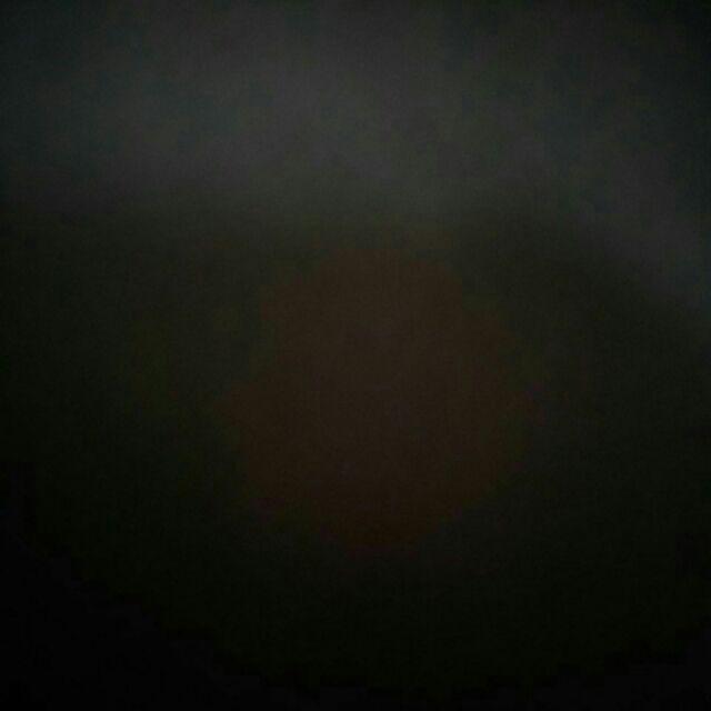 Hogasan Cairan Anti Serangga Insektisida Pest