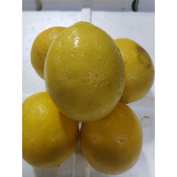

lemonimpor500gram