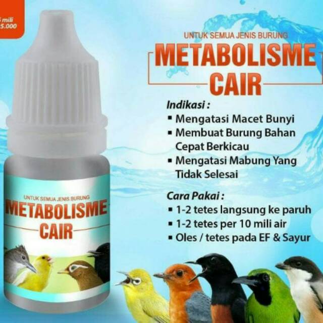 

METABOLISME CAIR