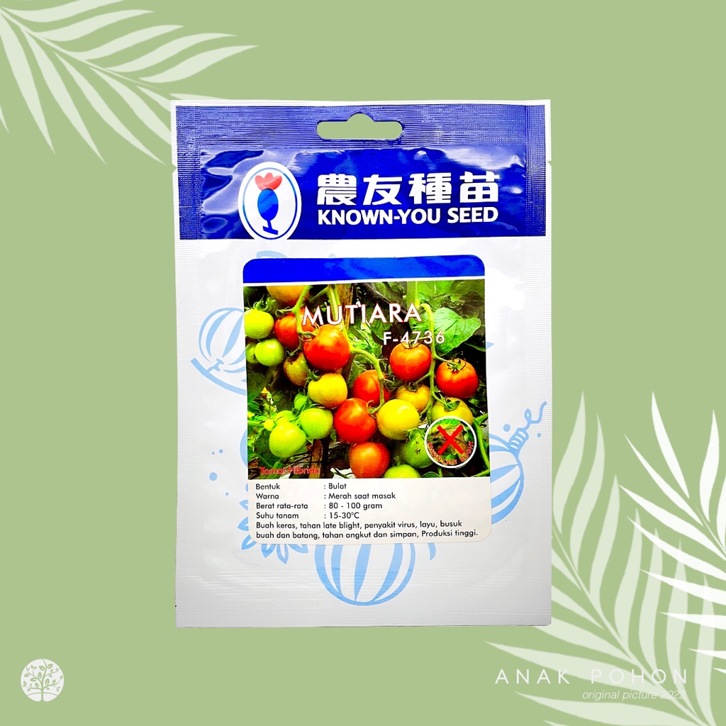 (1 PACK) Benih Tomat MUTIARA F-4736 Hibrida F1 Seeds - Known You Seed KYS - 1 GRAM