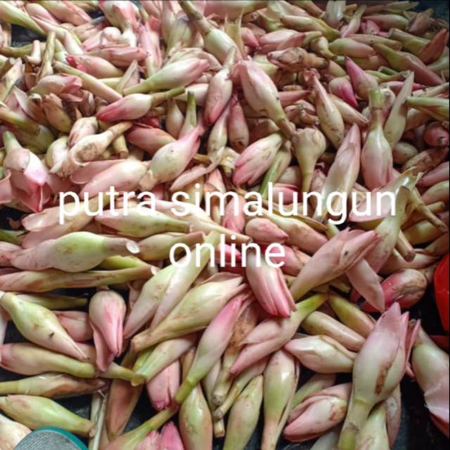 

KINCUNG ONJE RIAS 500gram