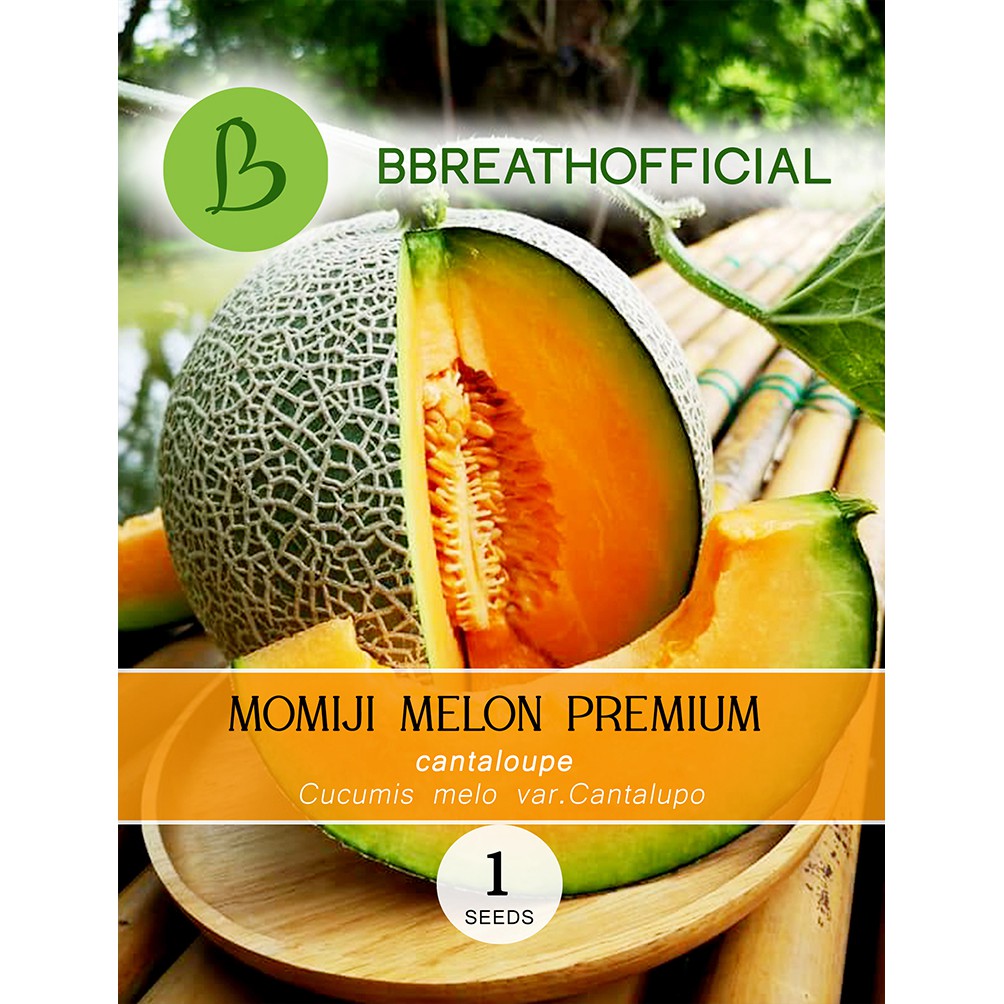 Seed momichi japan melon premium- Benih bibit muskmelon momiji - butir