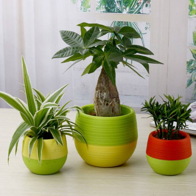 Pot Bunga Mini Hias Kaktus Tanaman - Multi-Color 5 PCS