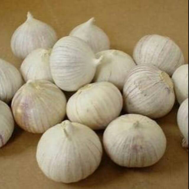 

BAWANG PUTIH TUNGGAL/ LANANG DIJUAL PER 500 GRAM!!