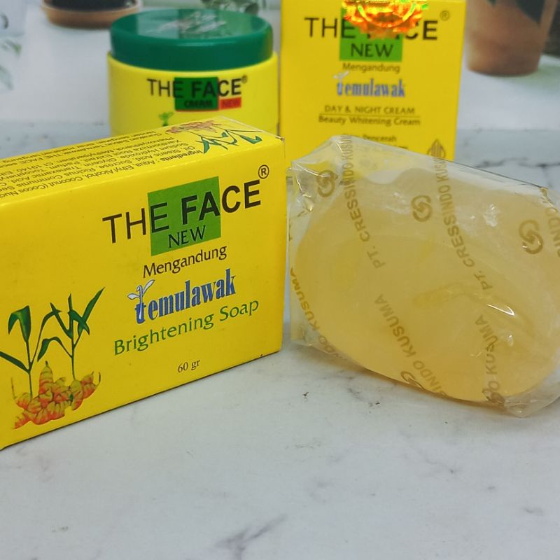 (5IN1 FACIAL WASH)PAKET THE FACE TEMULAWAK BPOM 5IN1 WITH FACE WASH AMAN BUMIL BUSUI