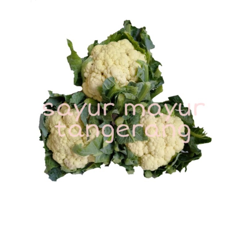 

Cauliflower / bunga kol / kembang kol