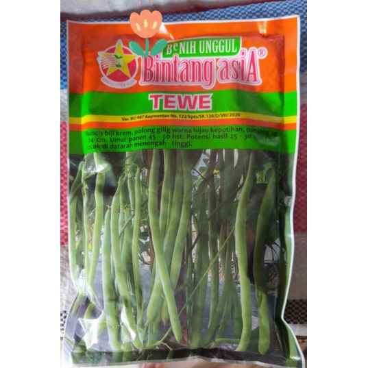 bibit buncis - tewe 500gr