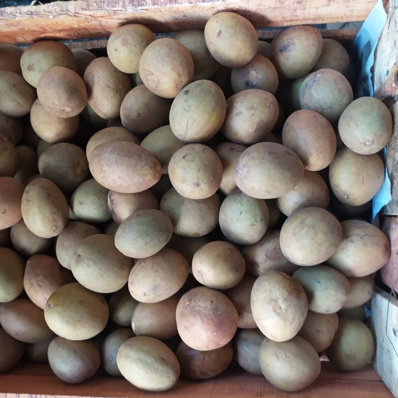 

Buah Sawo Lokal Sawo Manis Tua 1kg Buah Segar Cikarang