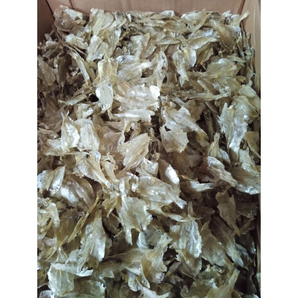 

Ikan Pakang, kalapan Tawar