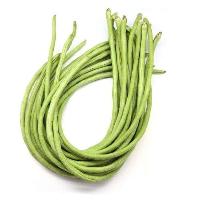 

KACANG PANJANG /IKAT