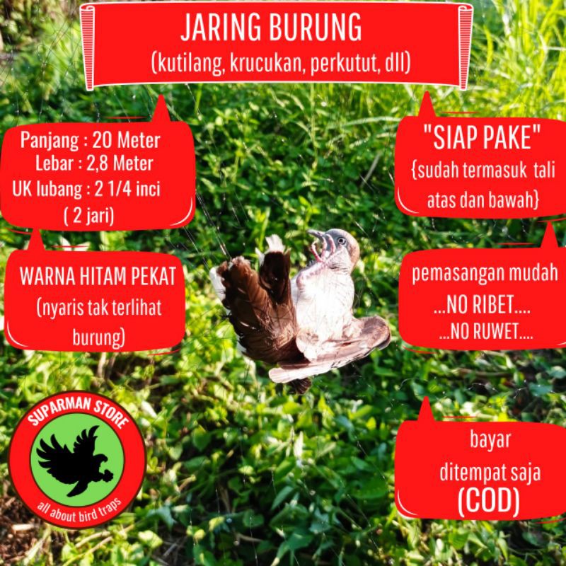 JARING BURUNG PERKUTUT JARING BURUNG KUTUT JARING BURUNG KUTILANG JARING BURUNG BESAR JARING BURUNG