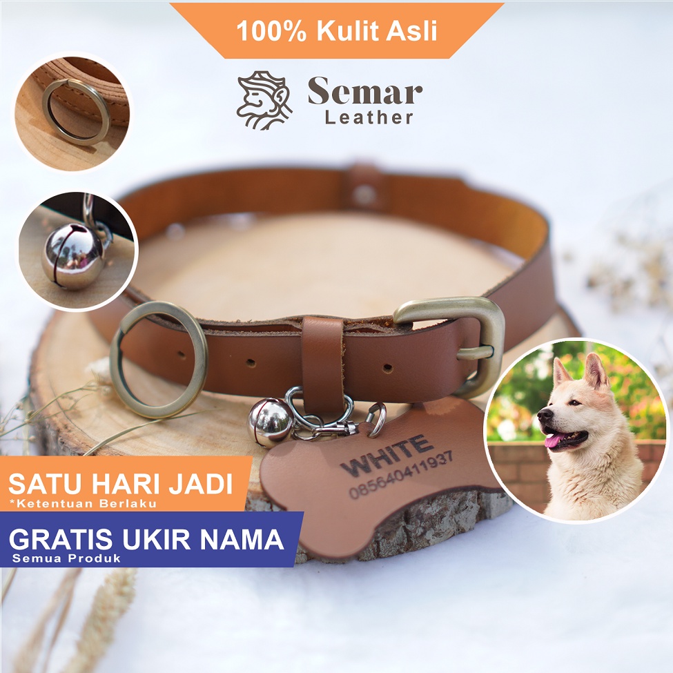 Kalung Anjing Besar Dewasa Custom Nama Kulit Asli HV