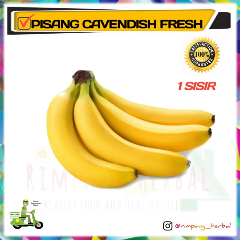 

Pisang | Pisang cavendish | Buah segar | Terlaris