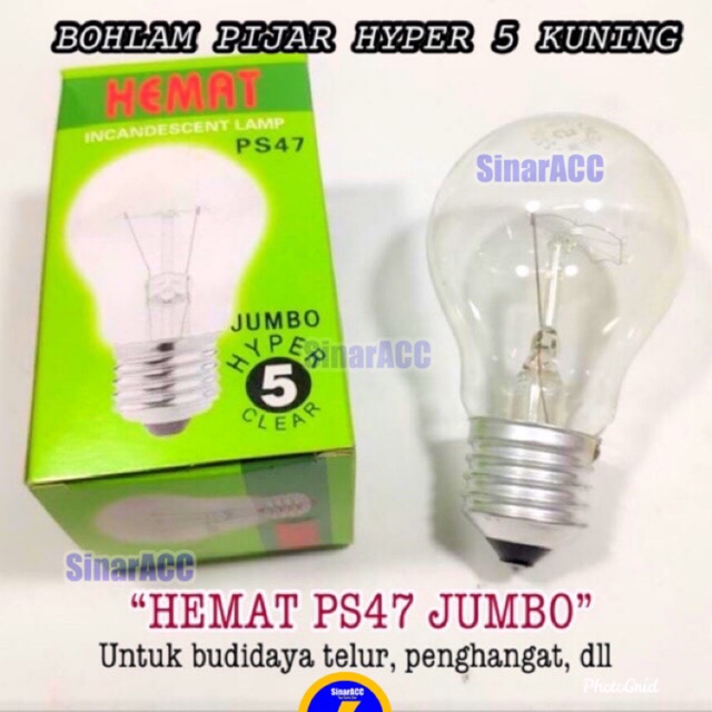 Lampu pijar Hemat 5W PS47 JUMBO lampu penghangat budidaya telur ayam bohlam dop kuning hangat 5 watt