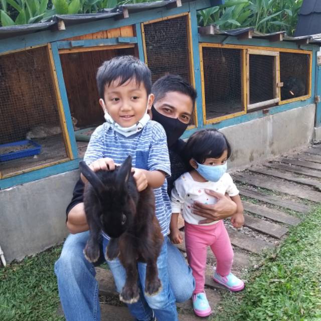 imadebali
