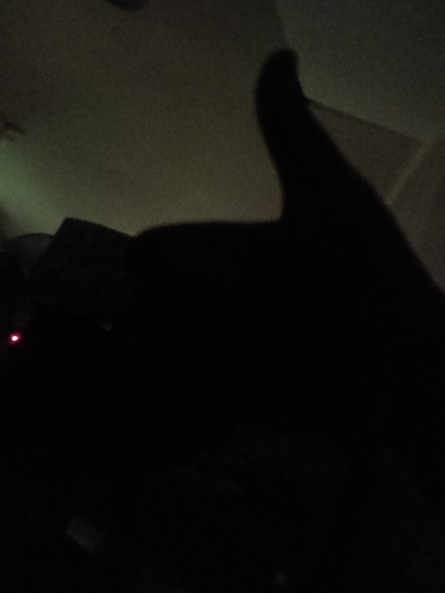 Cod Set Pisau Dapur Hitam 5 Pcs In 1 Cetakan Telur Chef Knife Cleaver*j12