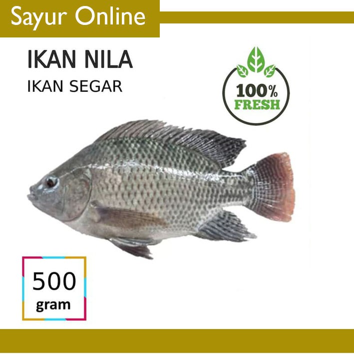 

SayurOnline] IKAN NILA [500g]