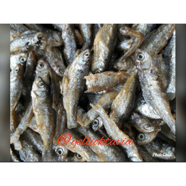 

Ikan Bilih Singkarak