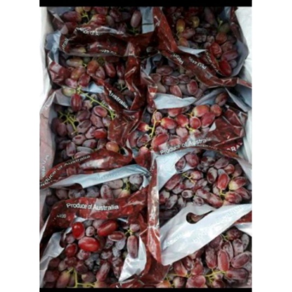 

Anggur Australia seedless