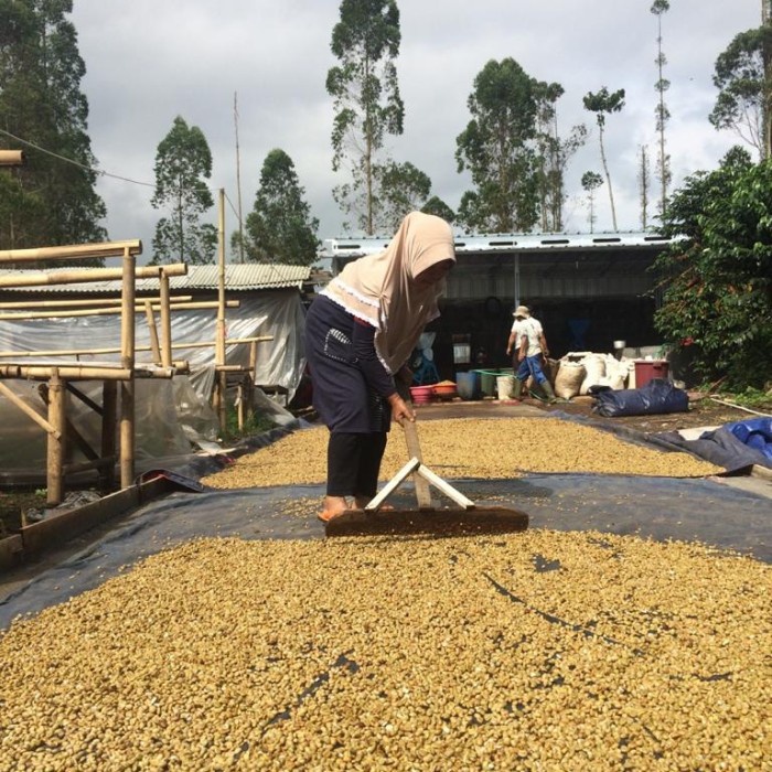 

H2J0U2J1U Kasuga Magnesium - Specialty Arabica (Biji Kopi 200Gr) HyYj