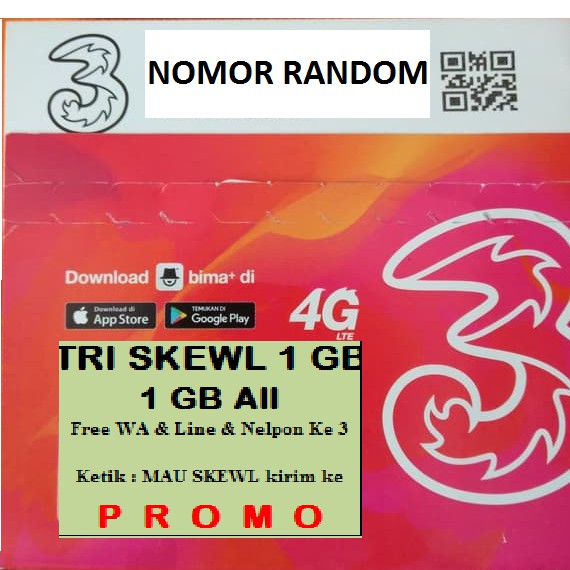 Kartu Perdana TRI SKEWL 1 GB