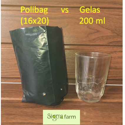 Plastik Polibag Tanaman Ukuran 16 x 20 cm | Polybag untuk Tanaman