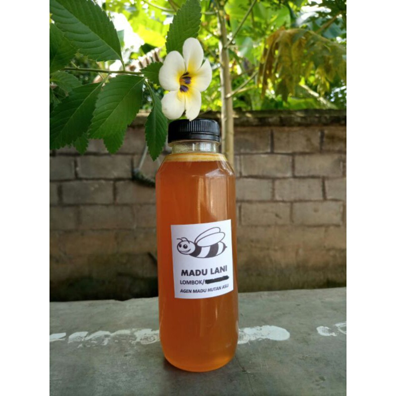 

Madu Asli hutan Lombok 250ml