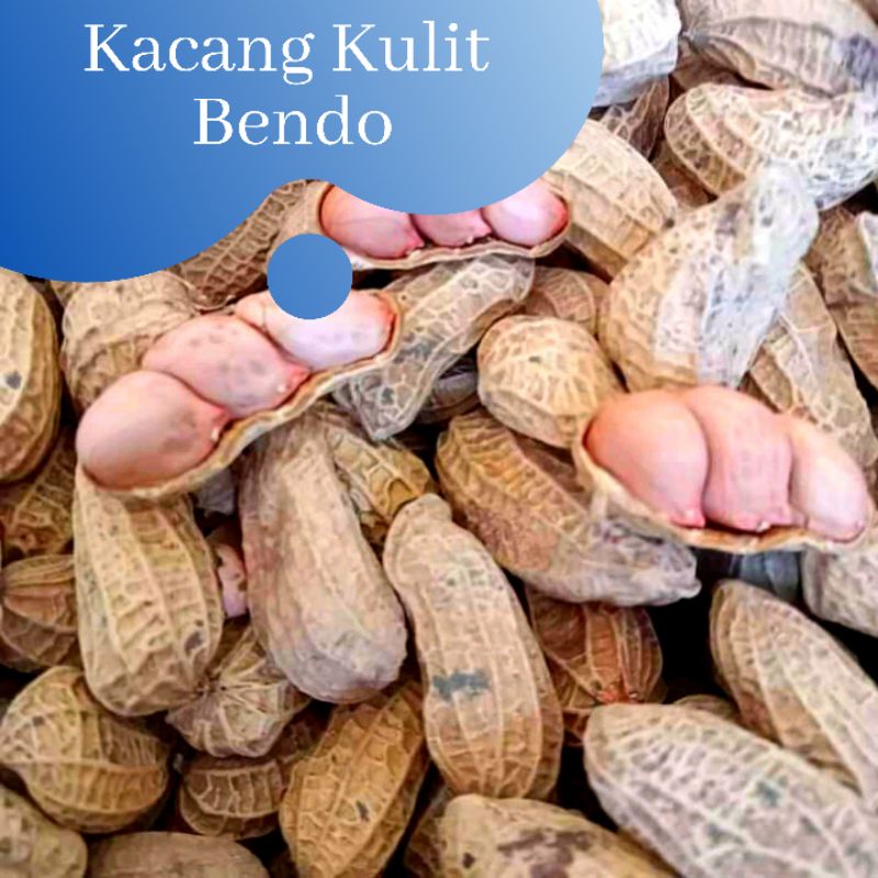 

Kacang Kulit Bendo 500gr / Kacang Kulit Goreng Sangrai