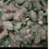 

Jahe Merah Segar 1000gram