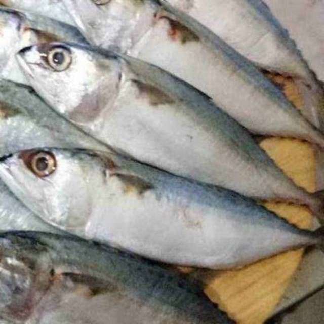 

Ikan kembung Banjar 500gram