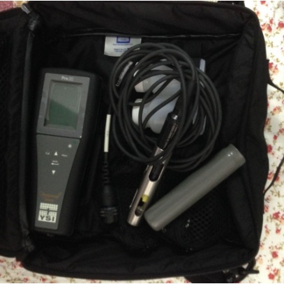 YSI PRO20 DO Meter with cable 4m - DO Meter YSI PRO 20