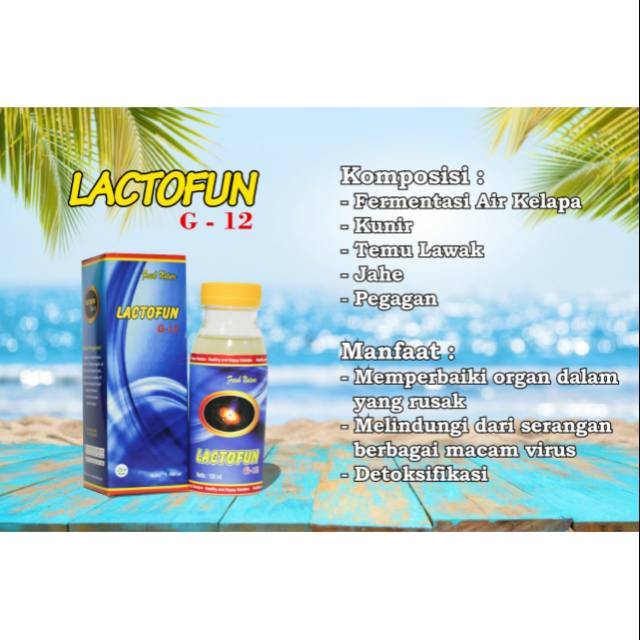 Lactofun G12 fermentasi air kelapa