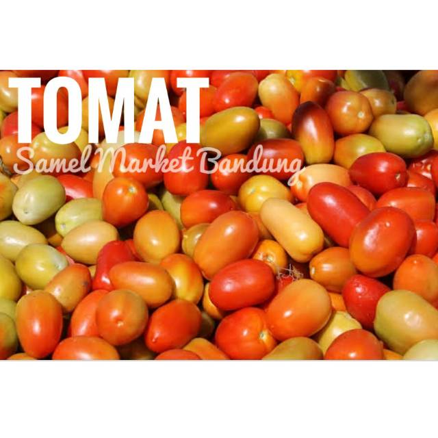 

Tomat segar, 500 gr