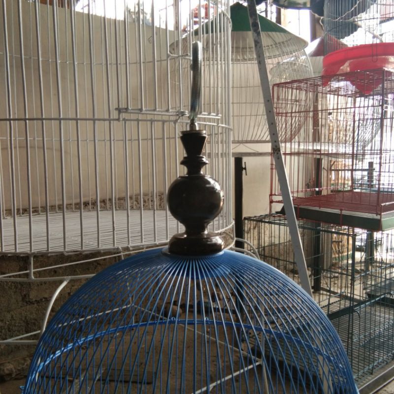 kandang burung bulat besi