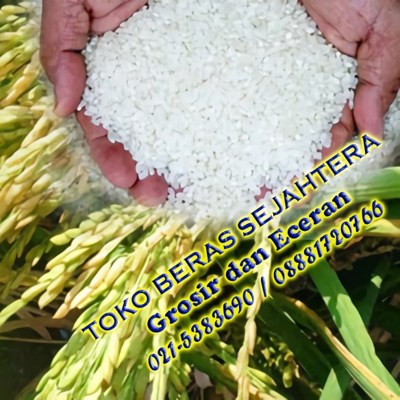 

Beras Khusus Organik Mentik Susu 5 Kg