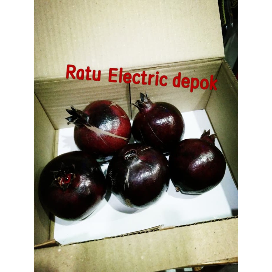 

buah delima hitam