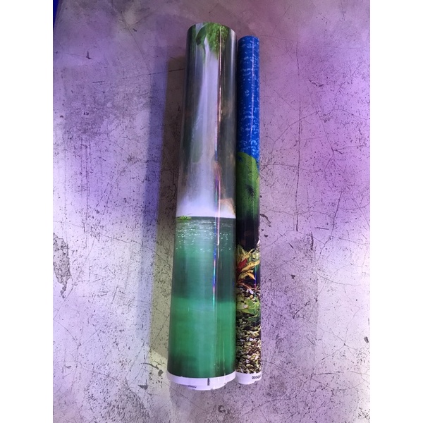 Background / Latar Belakang Aquarium tinggi 50 cm