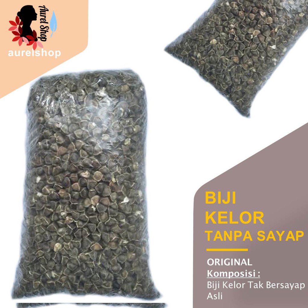 

Biji Kelor Hitam Botak Kering 1 kg Moringa (black drumstick seeds)