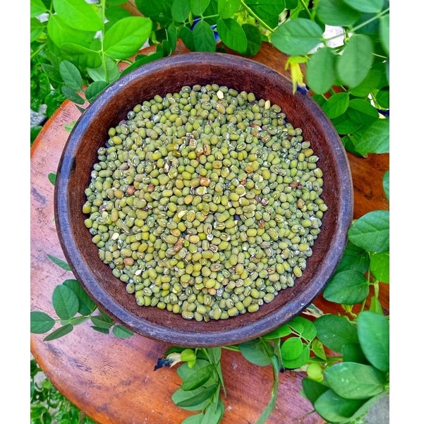 

Kacang Hijau
