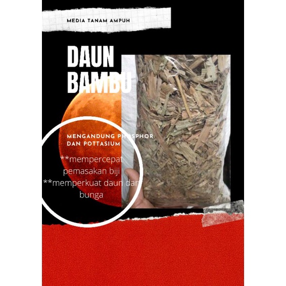 

daun bambu kering