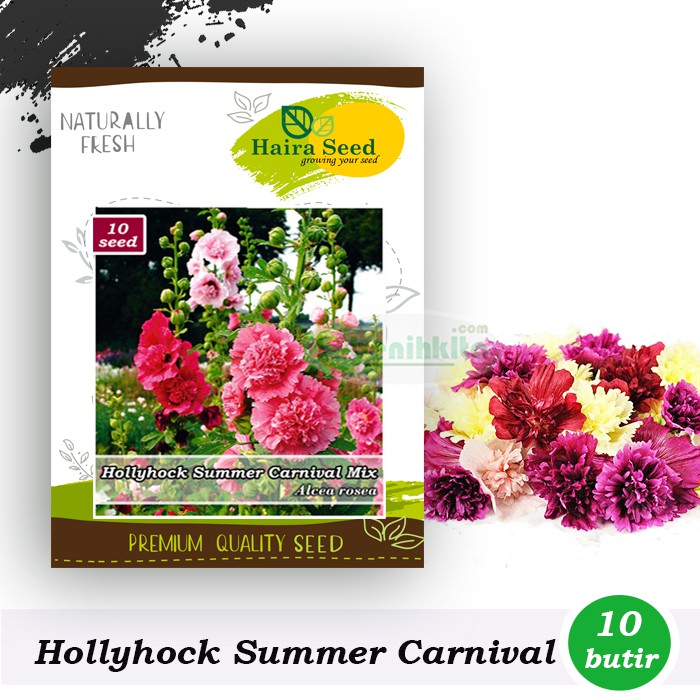 Benih-Bibit Bunga Hollyhock Summer Carnival Mix (Haira Seed)