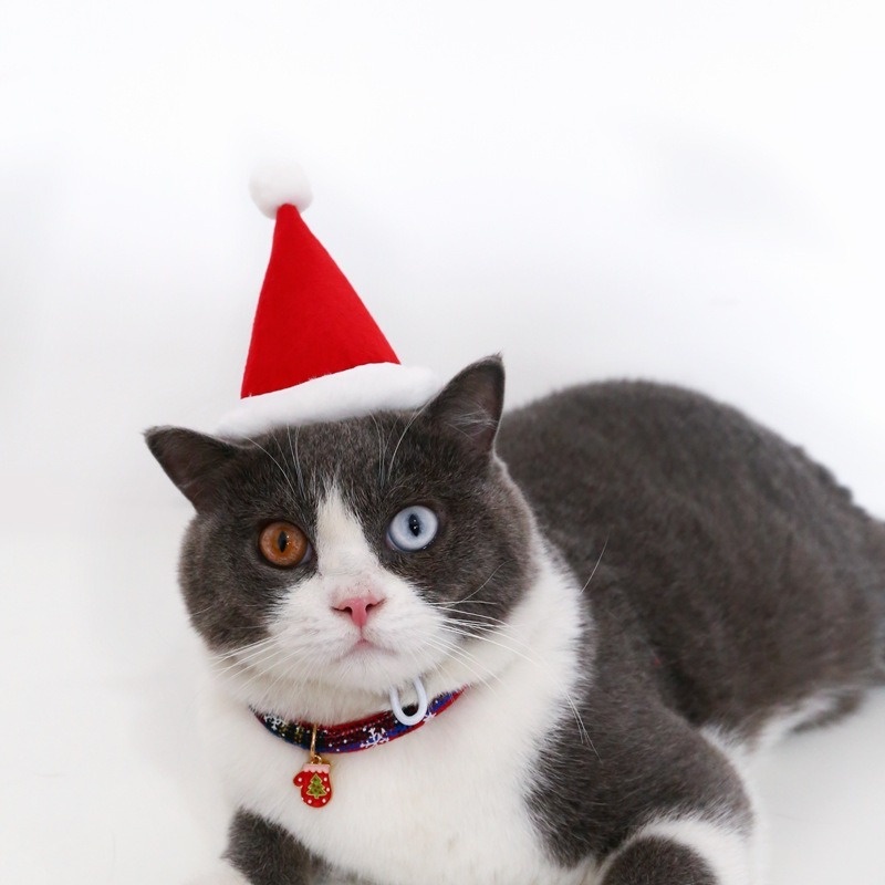 ★〓YUFeiPet〓★ Christmas Pet Hat Cat and Dog Felt Christmas Hat Adjustable Birthday Party Hat