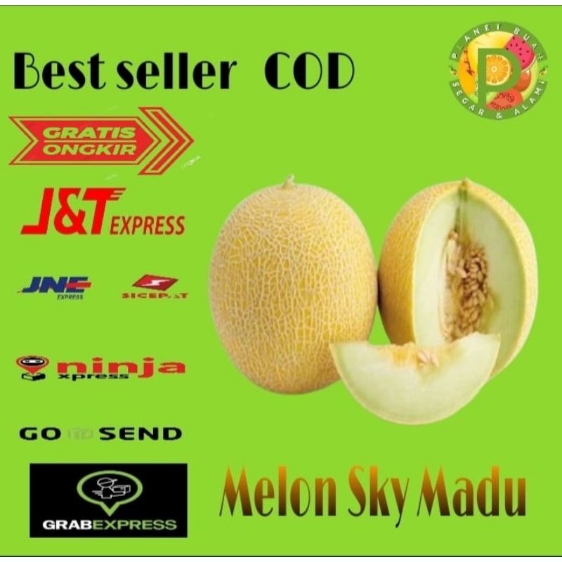

BUAH MELON SKY MADU MANIS SEGAR HARGA PER BUAH