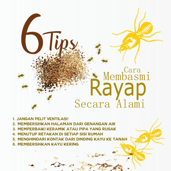 Semprotan rayap organik SanGreat Bye Bye Rayap anti rayap pengusir rayap spray 100 ml non pestisida, pembasmi rayap alami