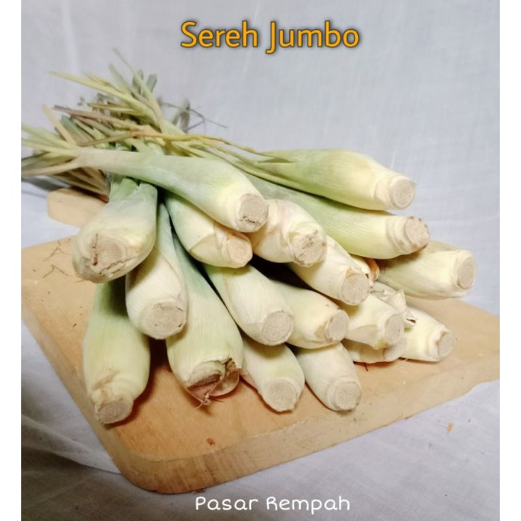 

Sereh bangkok Sereh Jumbo Sereh segar sayur segar