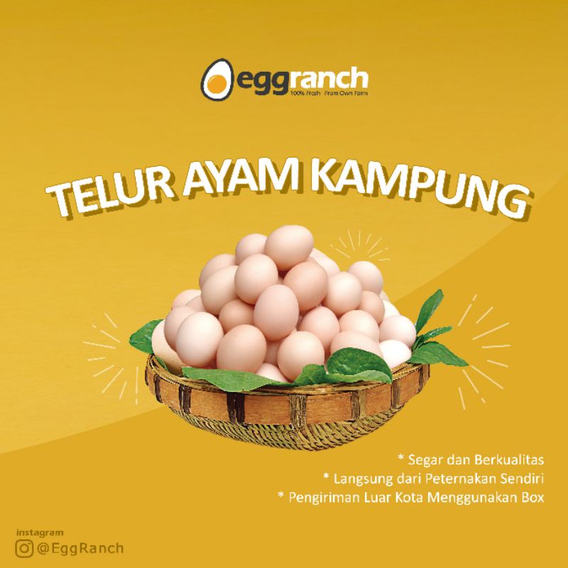 Jual Telur Ayam Kampung Asli Shopee Indonesia