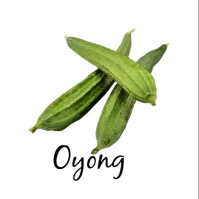 

Sayur Oyong Hijau 250 Gram