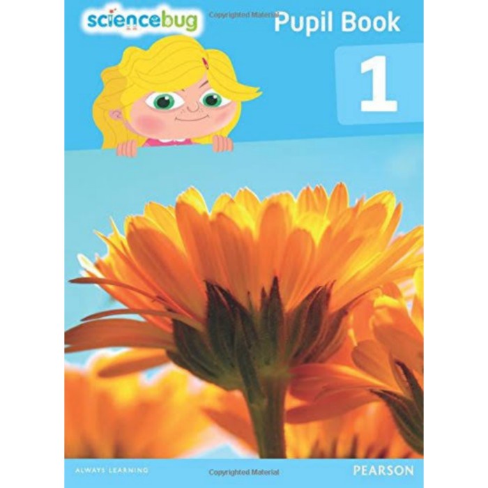 

Science Bug Year 1 Pearson Book - Satuan Workbook