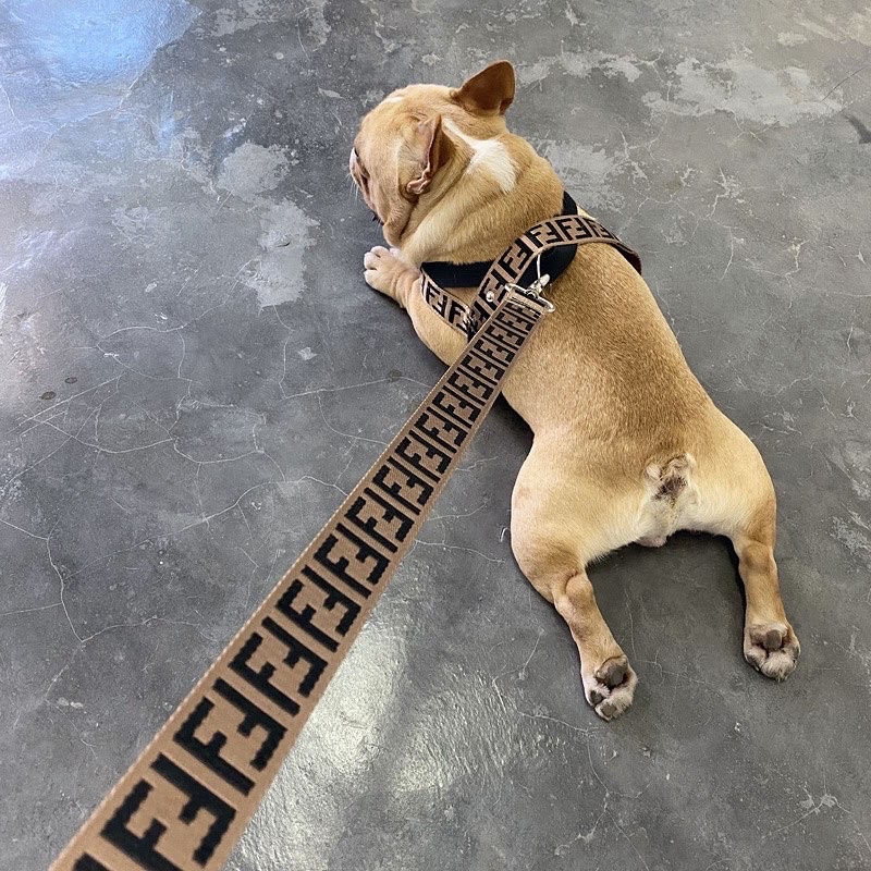 Fendogie premium harness